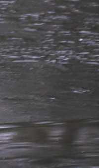 Bildbeschreibung und Urheberrecht