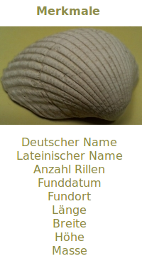 Bildbeschreibung und Urheberrecht