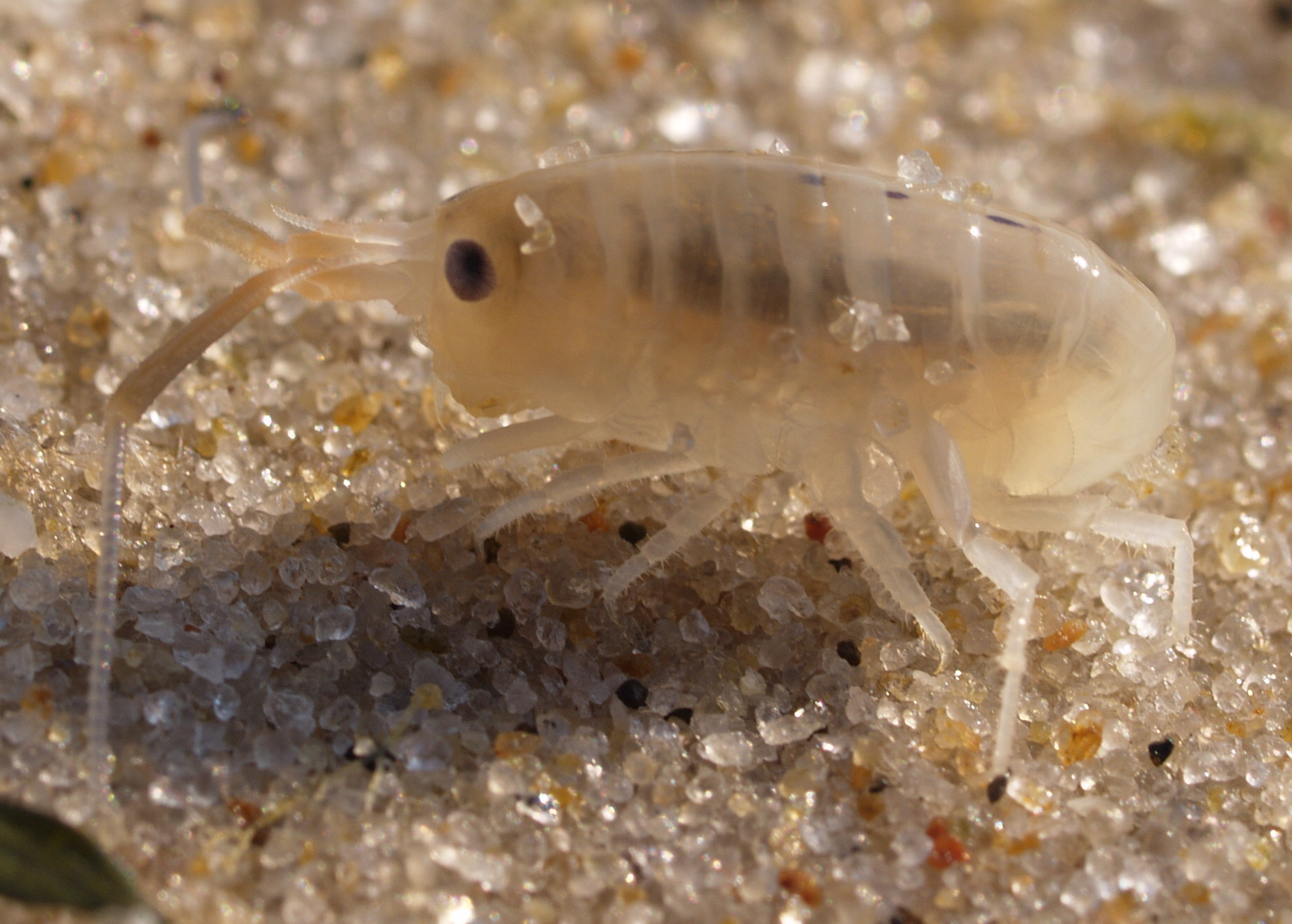 Bildbeschreibung und Urheberrecht