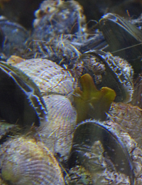 Bildbeschreibung und Urheberrecht