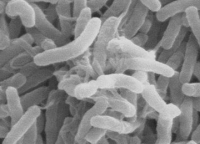 Bildbeschreibung und Urheberrecht