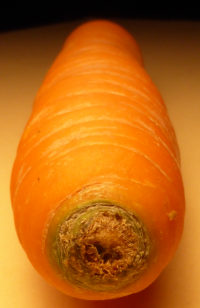 Bildbeschreibung und Urheberrecht