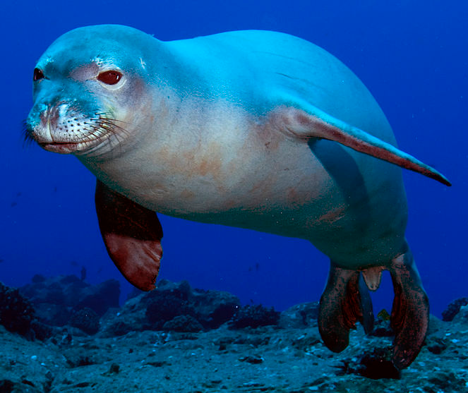 Bildbeschreibung und Urheberrecht