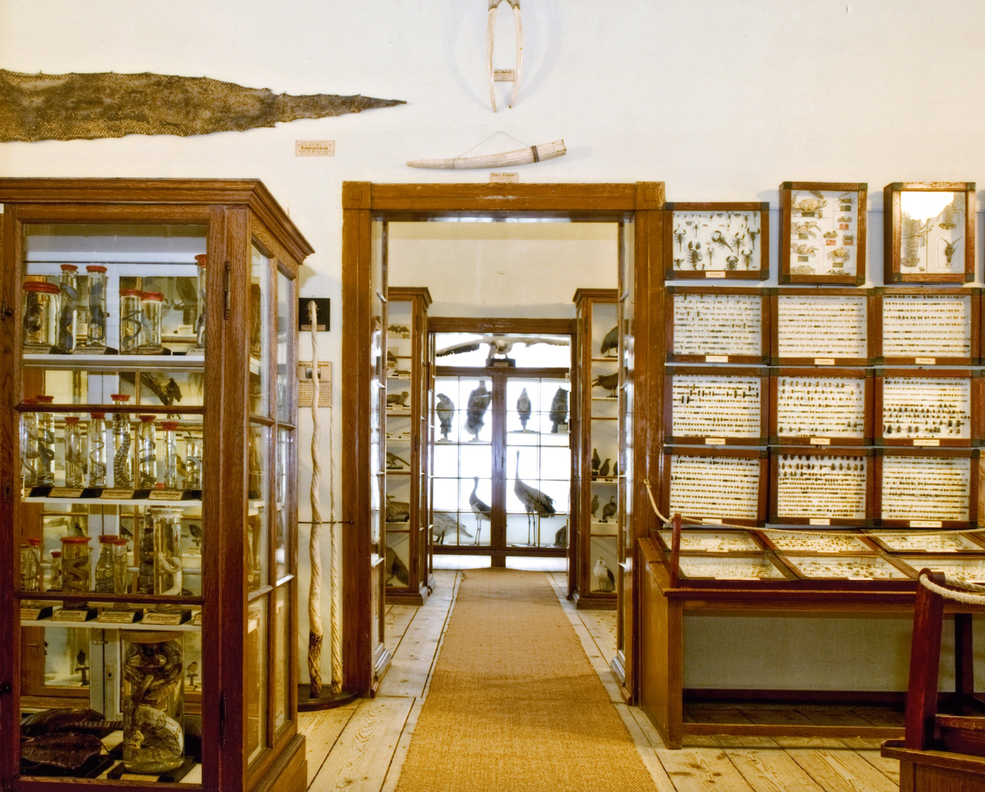 Bildbeschreibung und Urheberrecht