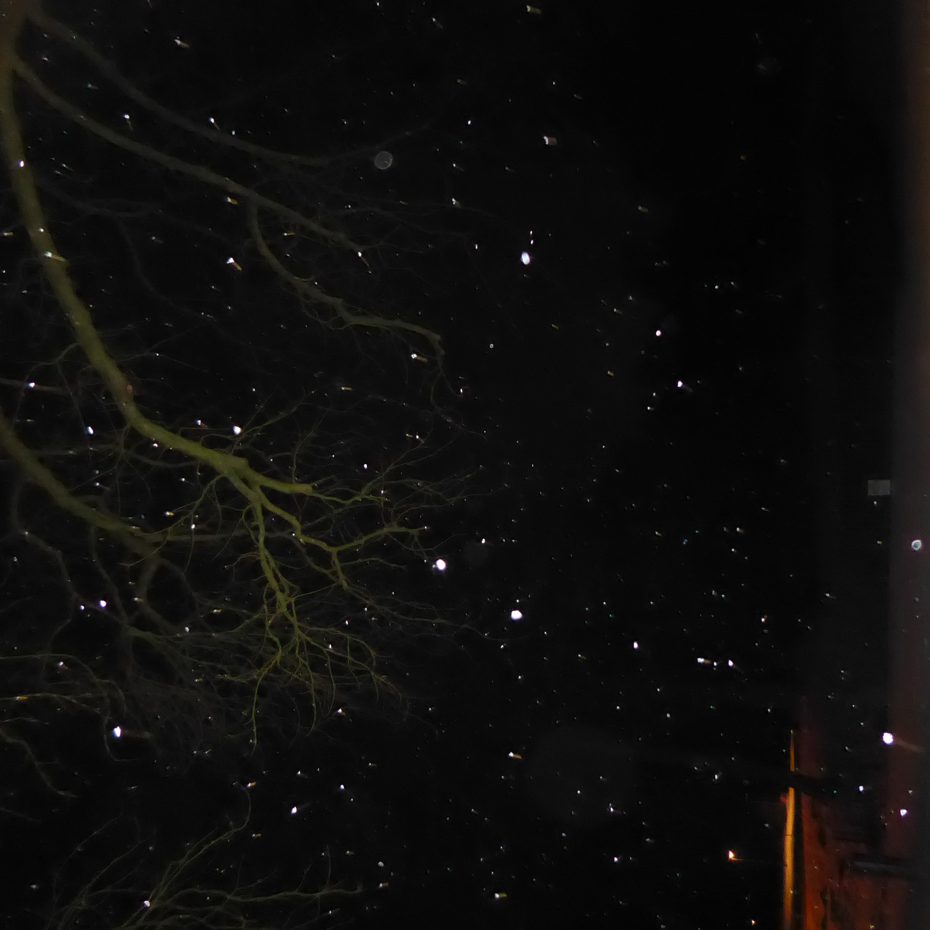 Bildbeschreibung und Urheberrecht