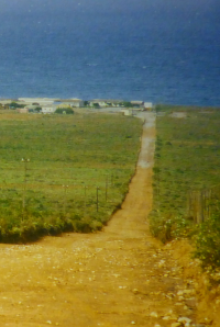 Bildbeschreibung und Urheberrecht