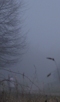 Bildbeschreibung und Urheberrecht