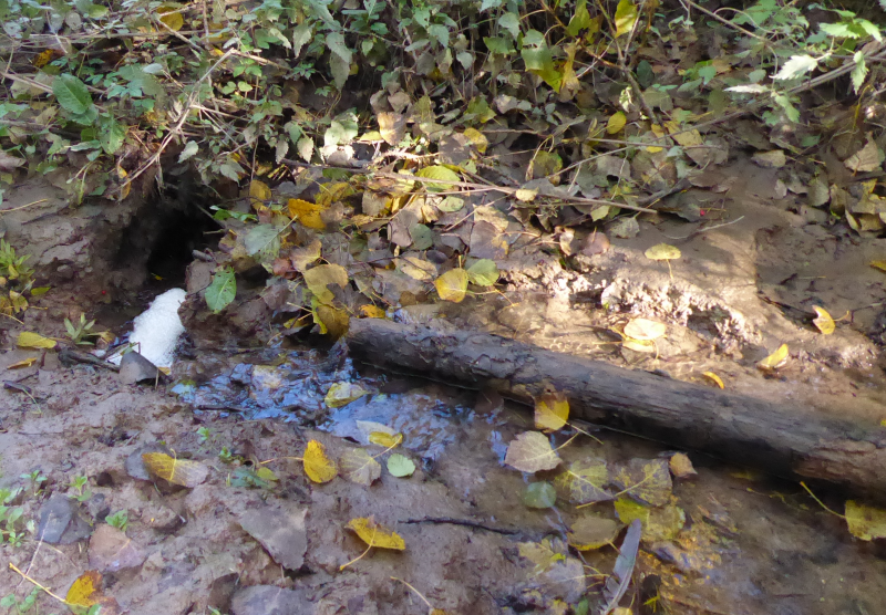 Bildbeschreibung und Urheberrecht