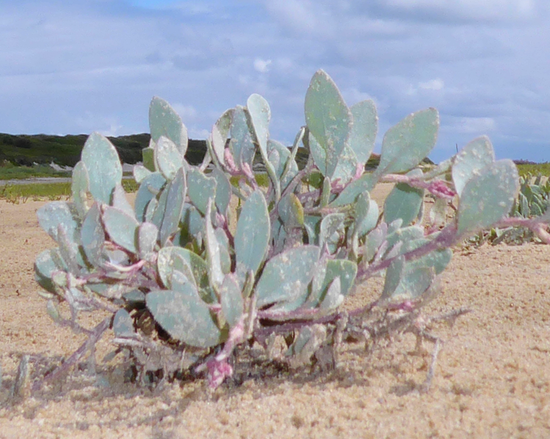Bildbeschreibung und Urheberrecht