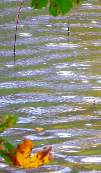 Bildbeschreibung und Urheberrecht