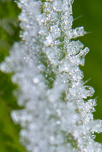 Bildbeschreibung und Urheberrecht