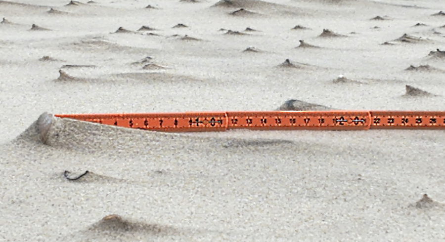 Bildbeschreibung und Urheberrecht