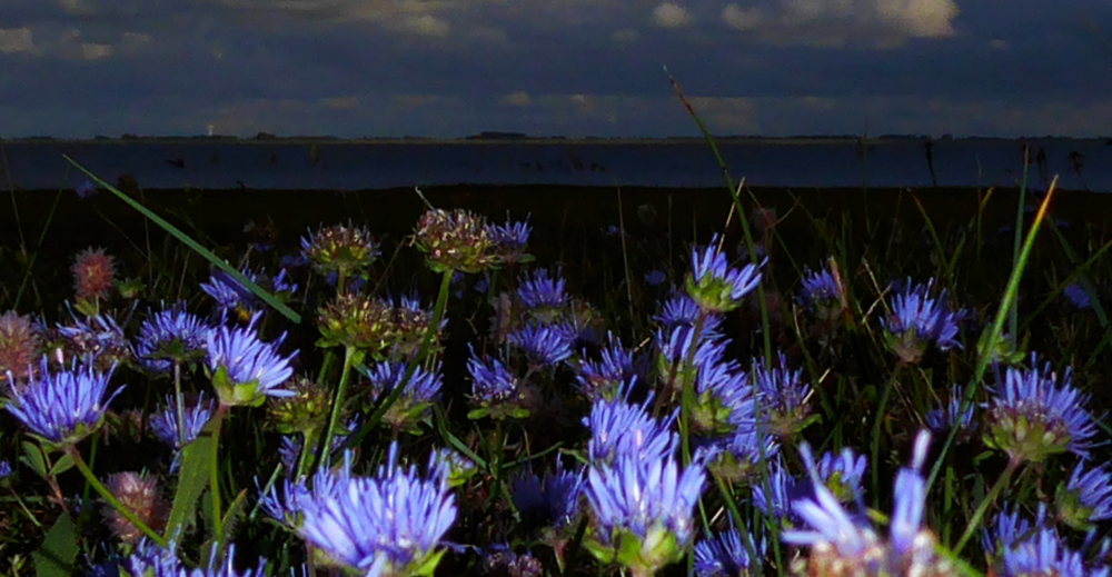 Bildbeschreibung und Urheberrecht