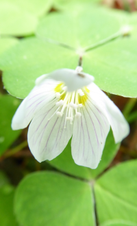 Bildbeschreibung und Urheberrecht