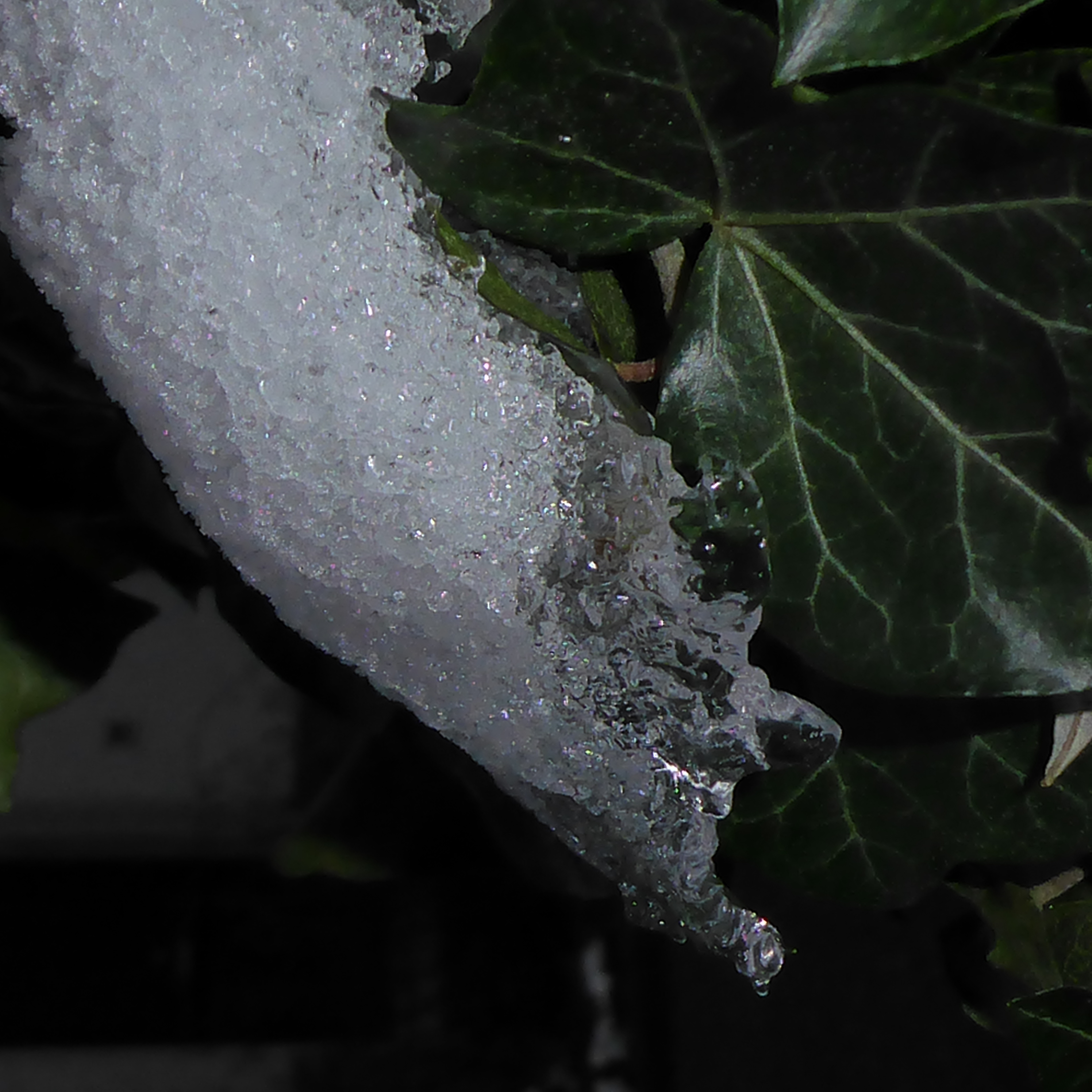 Bildbeschreibung und Urheberrecht