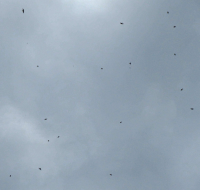 Bildbeschreibung und Urheberrecht