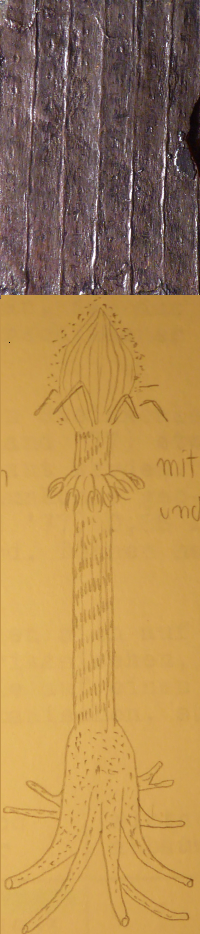 Bildbeschreibung und Urheberrecht