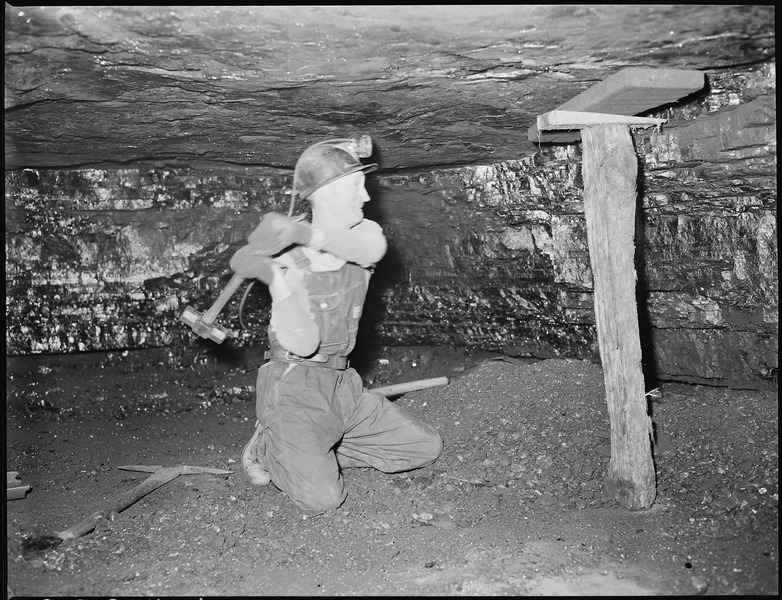 Bildbeschreibung und Urheberrecht