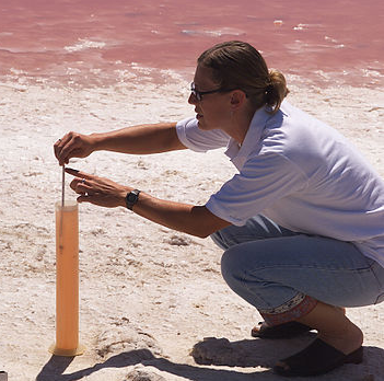 Bildbeschreibung und Urheberrecht