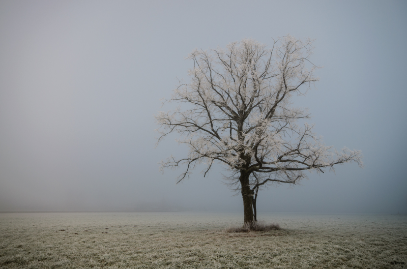 Bildbeschreibung und Urheberrecht