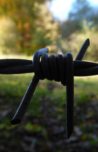 Bildbeschreibung und Urheberrecht