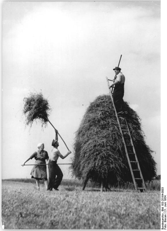 Bildbeschreibung und Urheberrecht