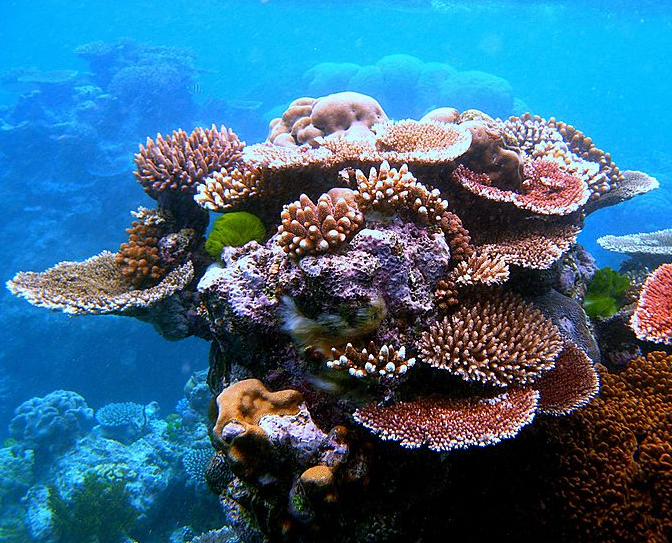 Bildbeschreibung und Urheberrecht