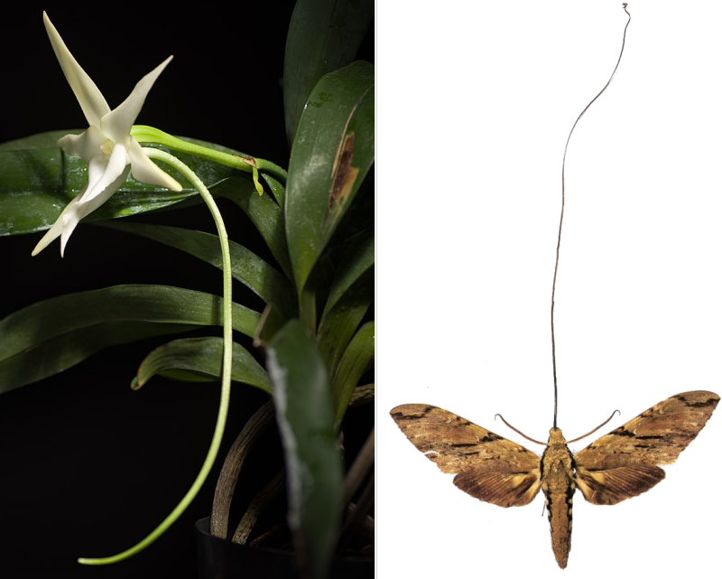 Bildbeschreibung und Urheberrecht