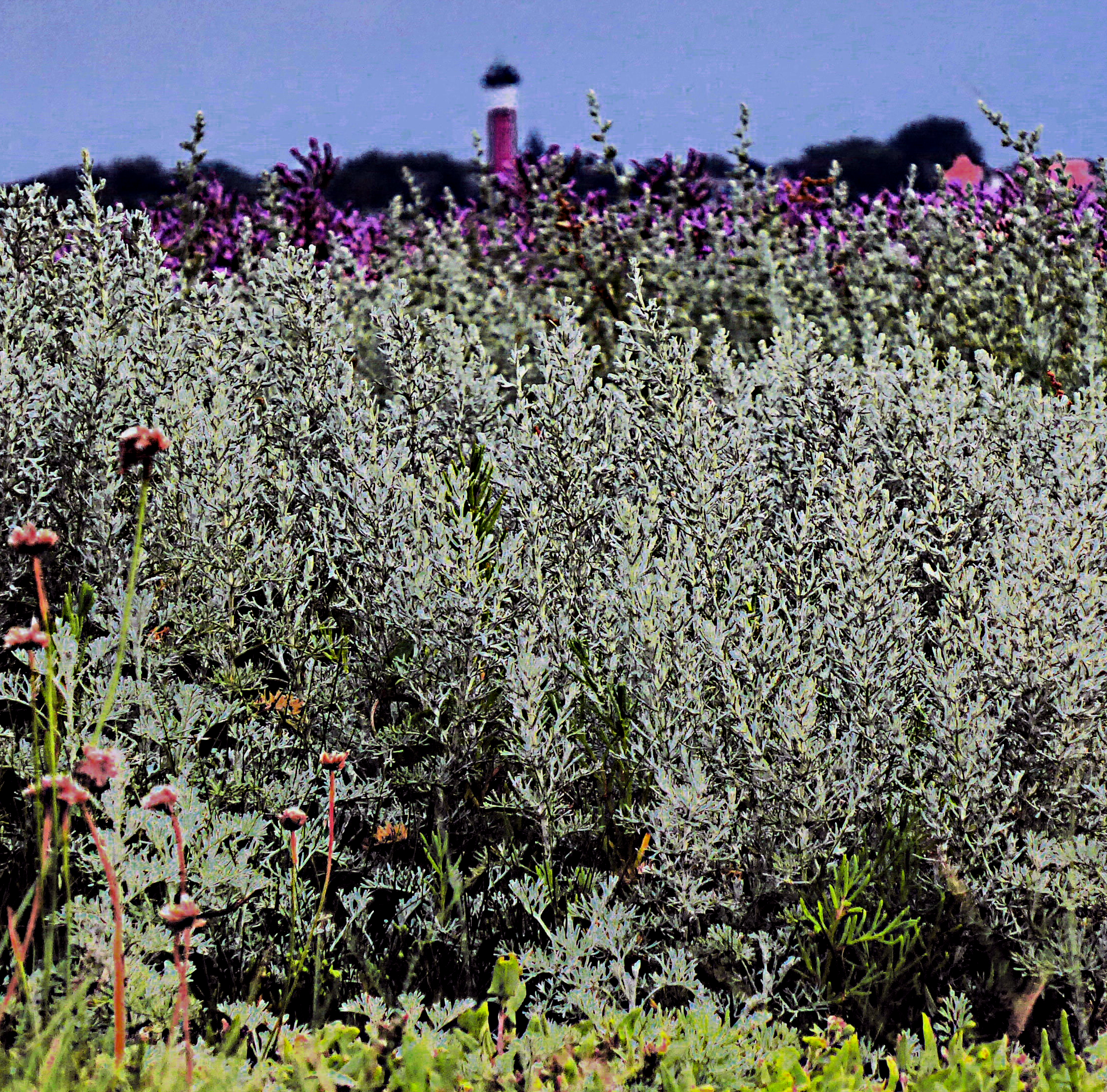 Bildbeschreibung und Urheberrecht