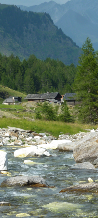 Bildbeschreibung und Urheberrecht