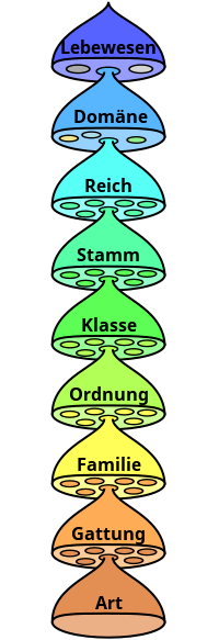 Bildbeschreibung und Urheberrecht