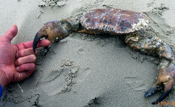 Bildbeschreibung und Urheberrecht