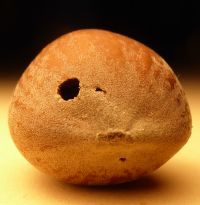 Bildbeschreibung und Urheberrecht