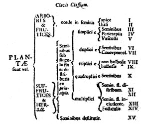 Bildbeschreibung und Urheberrecht