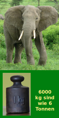 Bildbeschreibung und Urheberrecht