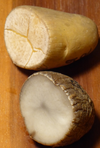 Bildbeschreibung und Urheberrecht