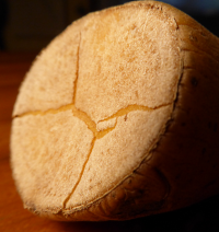 Bildbeschreibung und Urheberrecht