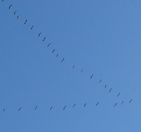 Bildbeschreibung und Urheberrecht