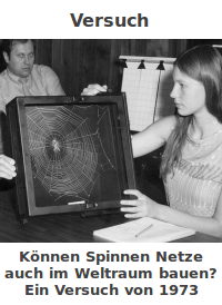 Bildbeschreibung und Urheberrecht