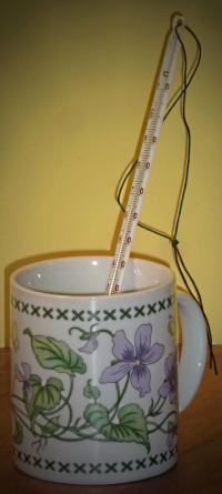 Bildbeschreibung und Urheberrecht