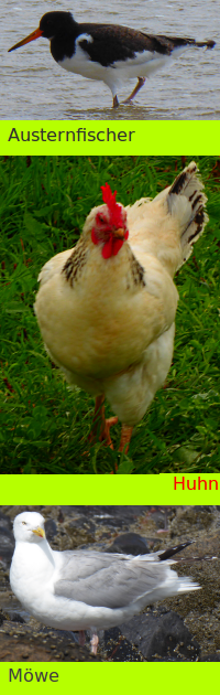 Bildbeschreibung und Urheberrecht