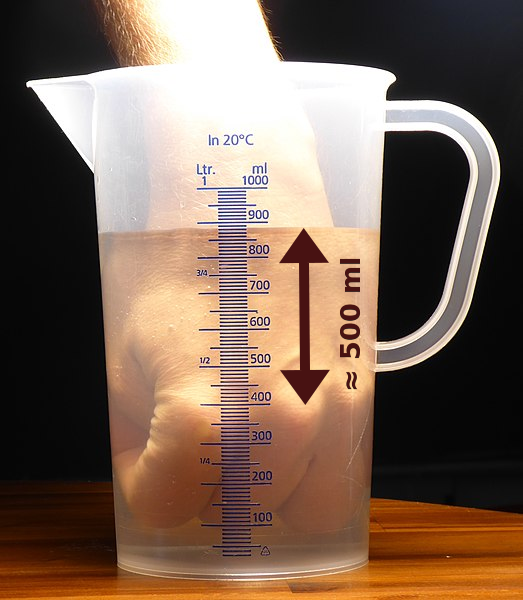 Bildbeschreibung und Urheberrecht