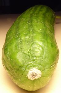 Bildbeschreibung und Urheberrecht