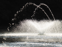 Bildbeschreibung und Urheberrecht