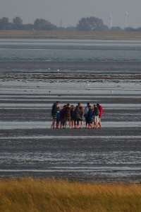 Bildbeschreibung und Urheberrecht