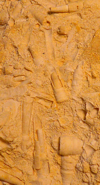 Bildbeschreibung und Urheberrecht