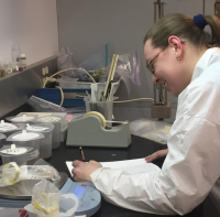 Bildbeschreibung und Urheberrecht