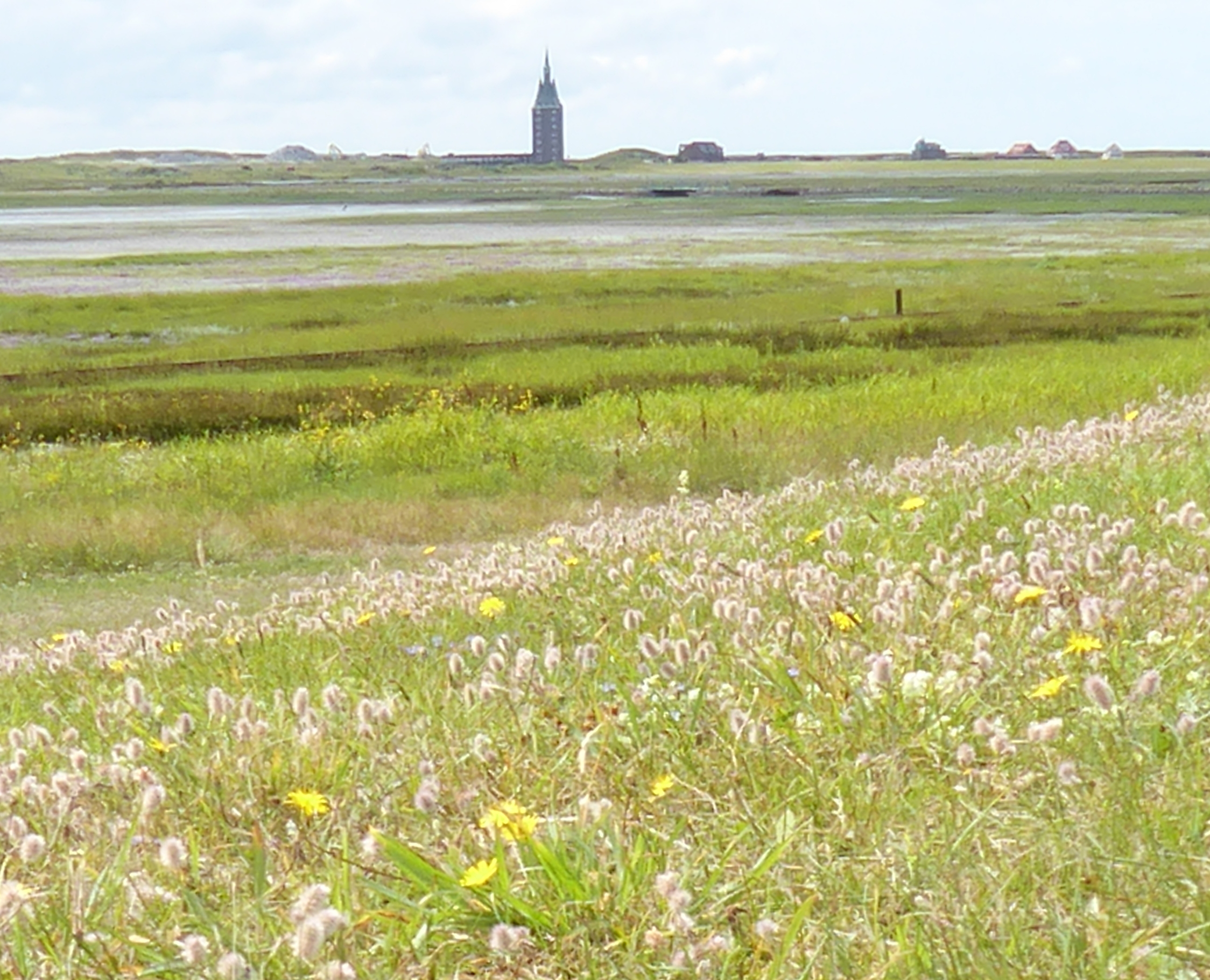 Bildbeschreibung und Urheberrecht