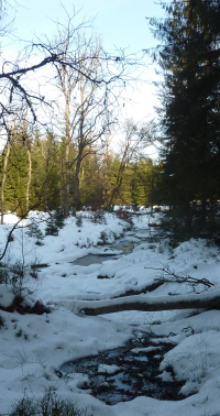 Bildbeschreibung und Urheberrecht