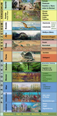 Bildbeschreibung und Urheberrecht